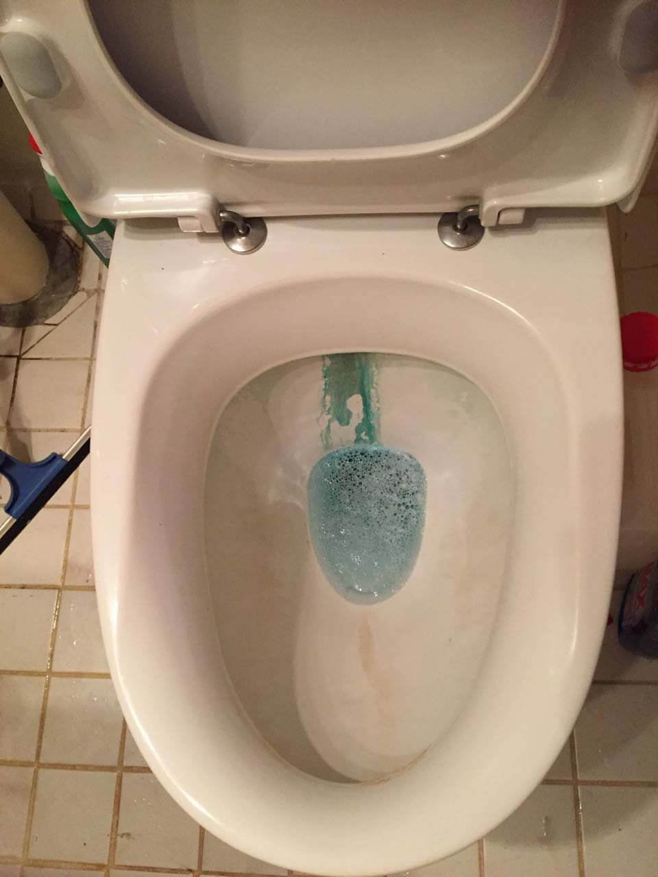 beskidt toilet