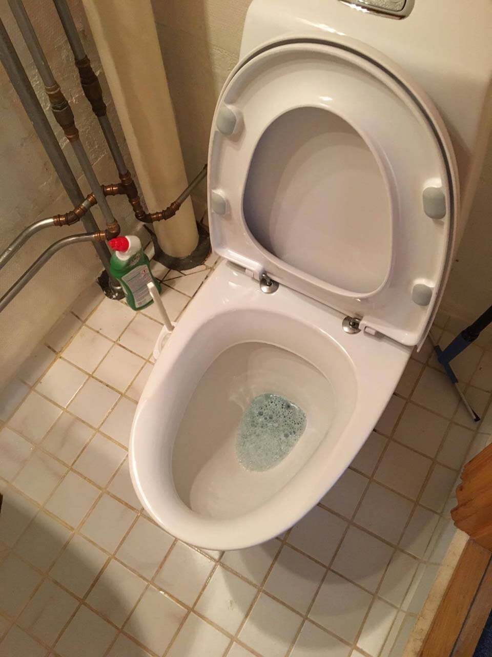 rengjort toilet
